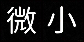 微小