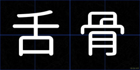 舌骨