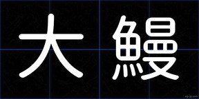 大鰻