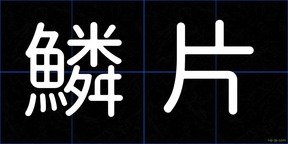 鱗片