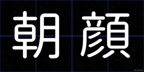 朝顔