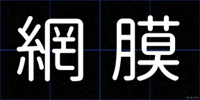 網膜