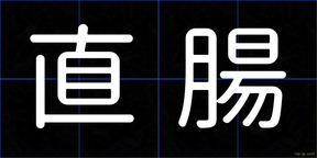 直腸