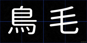 鳥毛