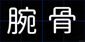 腕骨