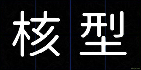 核型