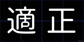 適正