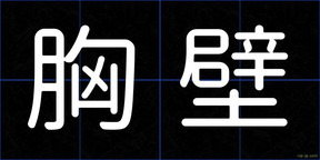 胸壁