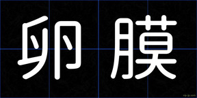 卵膜