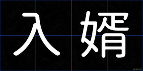 入婿