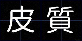 皮質