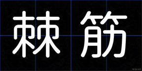 棘筋
