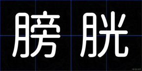 膀胱