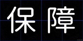 保障