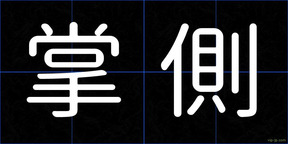 掌側