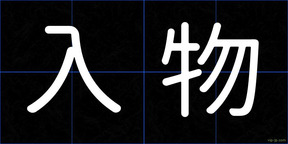 入物