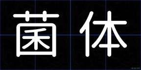 菌体