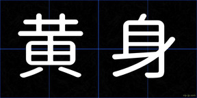 黄身