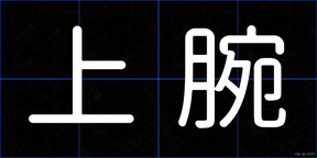 上腕