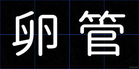 卵管