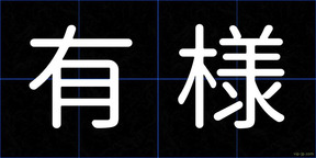 有様