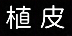 植皮