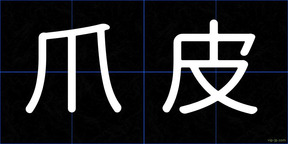 爪皮