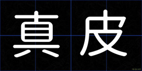 真皮