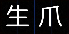 生爪