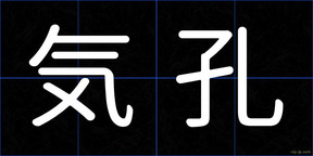 気孔