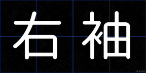 右袖