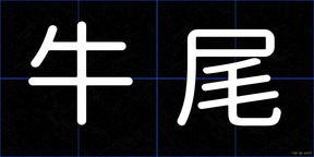 牛尾