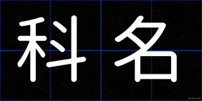 科名