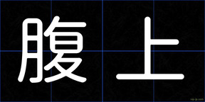 腹上