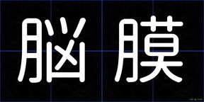 脳膜