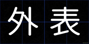 外表