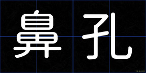 鼻孔