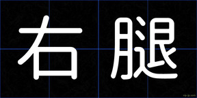右腿