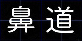鼻道