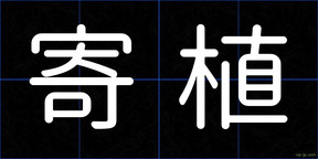寄植