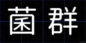 菌群