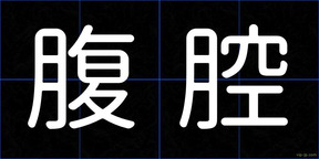 腹腔