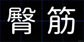 臀筋