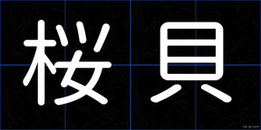 桜貝