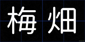 梅畑