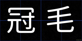 冠毛