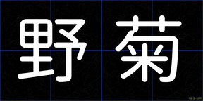 野菊