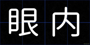 眼内