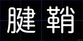 腱鞘