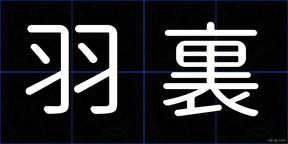 羽裏